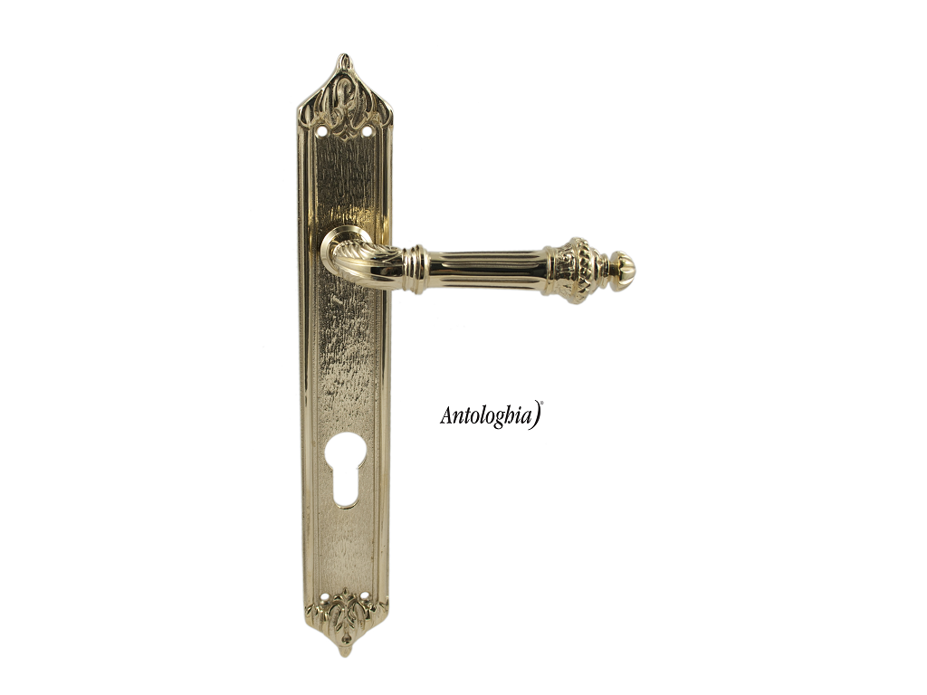 clmkim11pby85onc.png Maniglia Impero 8x85 Yale Placca mm.258x37 Ottone Naturale | Antologhia Colombo - immagine 1