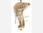 Piede Legno Faggio Grezzo con Vite Filettata Ma10x30 d.120x120/ 30 mm.200h | Gpi - immagine 4