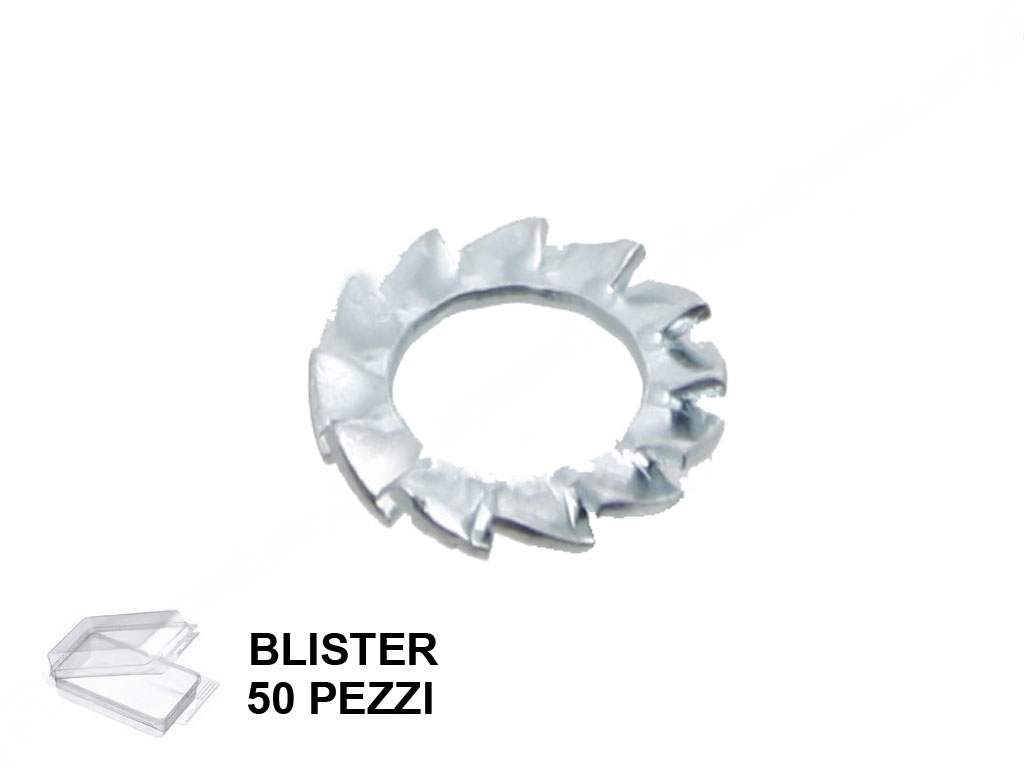 image-sxaezjdzt-transformed.png ROSETTA ELASTICA VENT.DENTATA ESTERNA UNI8842 ZN IN BLISTER DA PEZZI 50 VARI DIAMETRI - immagine 1