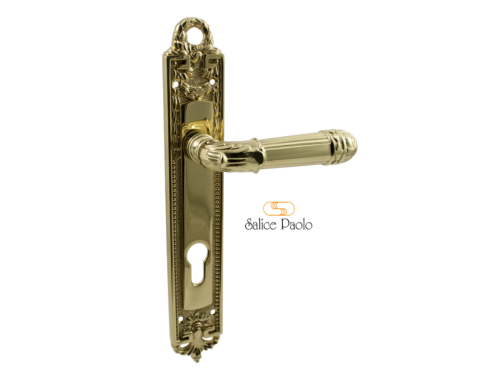 pss3321f85olc.png Maniglia Lille 8x85 Yale con Molle Placca mm.275x44 Ol Salice Paolo - immagine 1