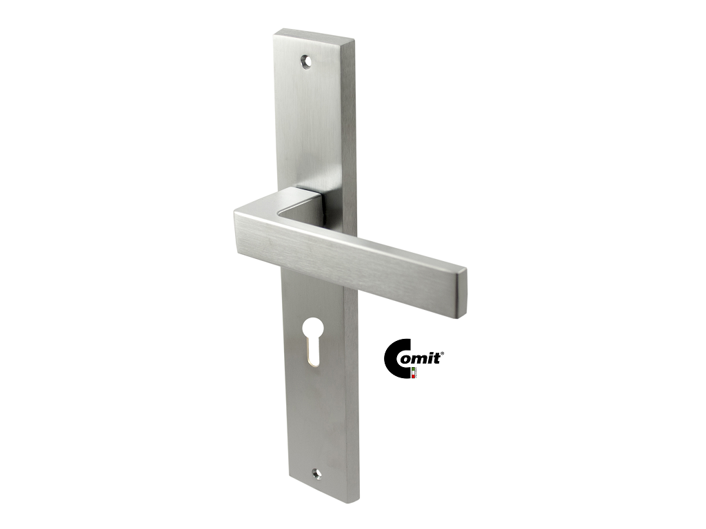 citbibpl51p85z2b.png Maniglia Biblo 8x85 Yale Placca PL51 mm.255x45 varie finiture | Comit - immagine 1