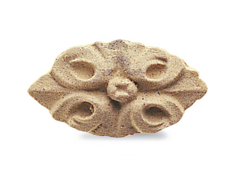cof034865000000.png Ovale Fregio Pasta Legno mm.35x20x8h Cof116 - immagine 1