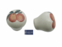 POMOLINO MOBILE MAIOLICA d.30/15x35h SMALTATO  VARIE FINITURE | CERAMICHE LIBERATI