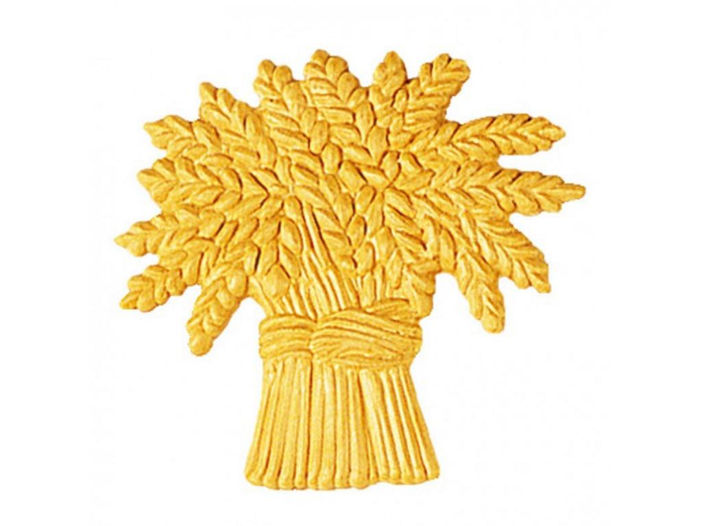 pruom30bi.png Modello Fiore Legno Betulla w100xh98xd7 Pru - immagine 1