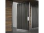 Cerniera Pivot Idraulico 360°Chiudiporta a Pavimento per Legno Inox AISI 304 Portata kg.200 mm.248x40x64h  JNF - immagine 4