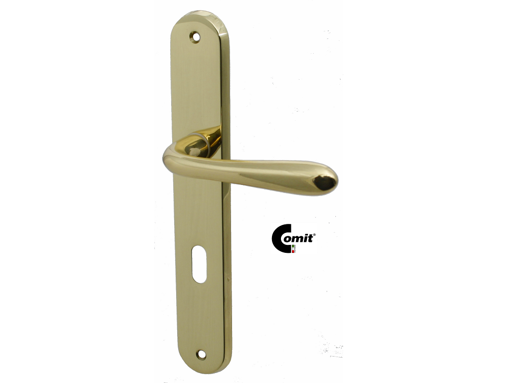 citgocpl08p70z1cc.png Maniglia Goccia 8x70 Placca PL08 mm.252x42 Varie Finiture | Comit - immagine 1