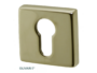 Bocchetta Quadra Foro Yale per Cilindro Europeo Q47x47x10h varie finiture | Olivari - immagine 2
