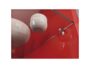 Reggiripiano Cristallo K-LINE da Inserire ø Foratura 5 mm Zama Nichelato - immagine 2